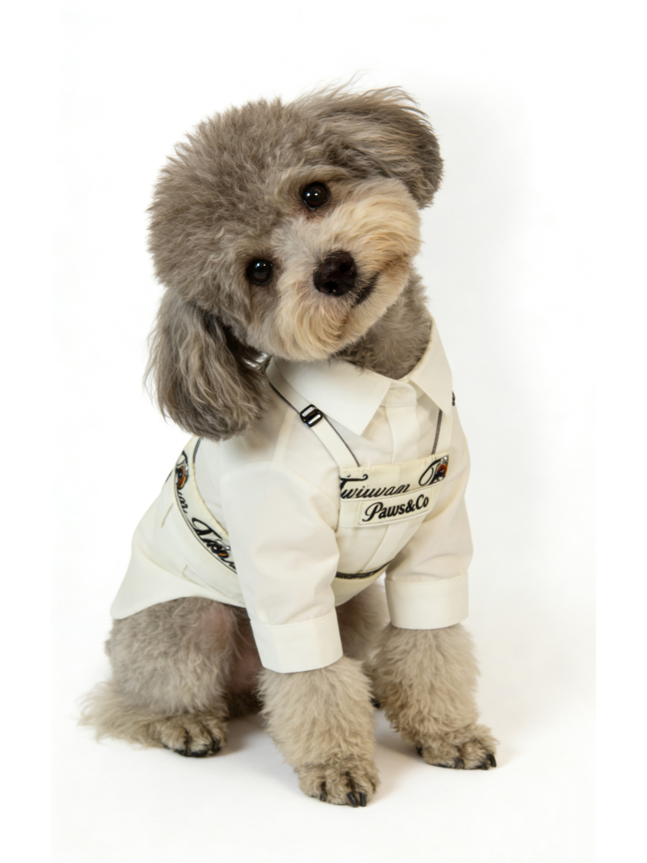 20260323200646_347_1698